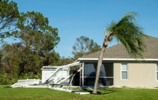 A fallen palm tree and some parts of the house have been damaged after a storm.